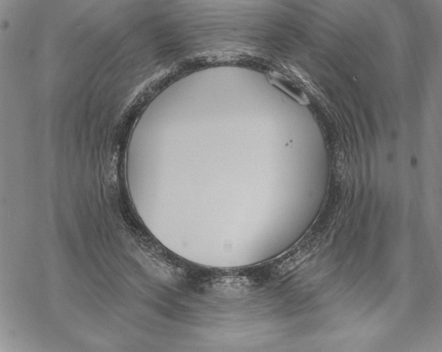 X0000069380543200606021609