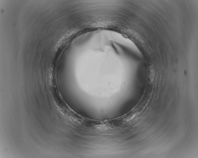 X0000069380544200606021609