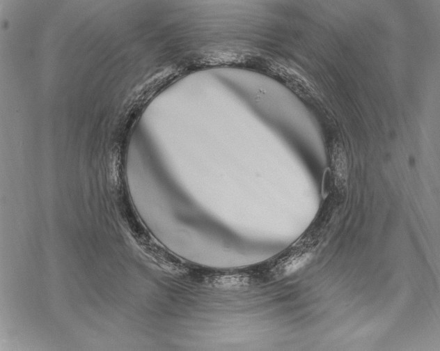 X0000069380546200606021609