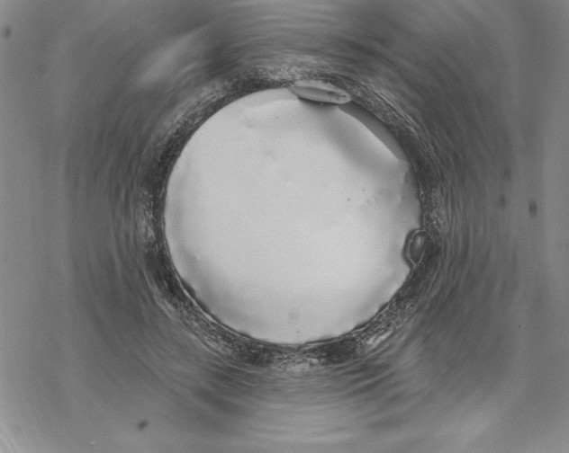 X0000069380547200606021609