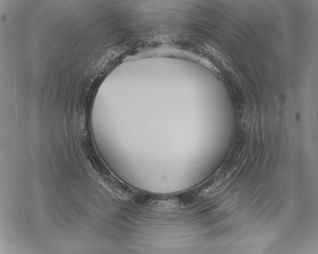 X0000069380548200606021609