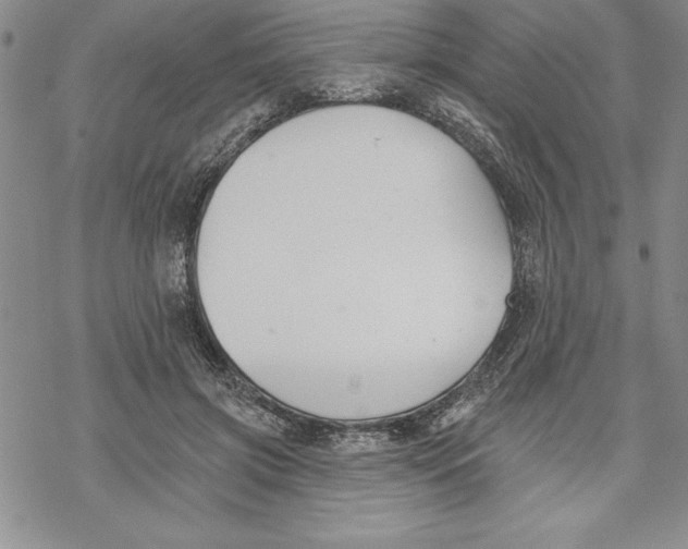 X0000069380549200606021609