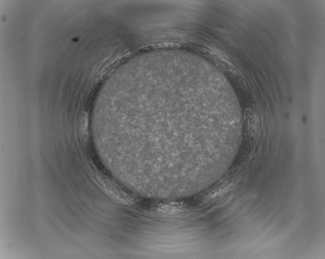 X0000069380550200606021609