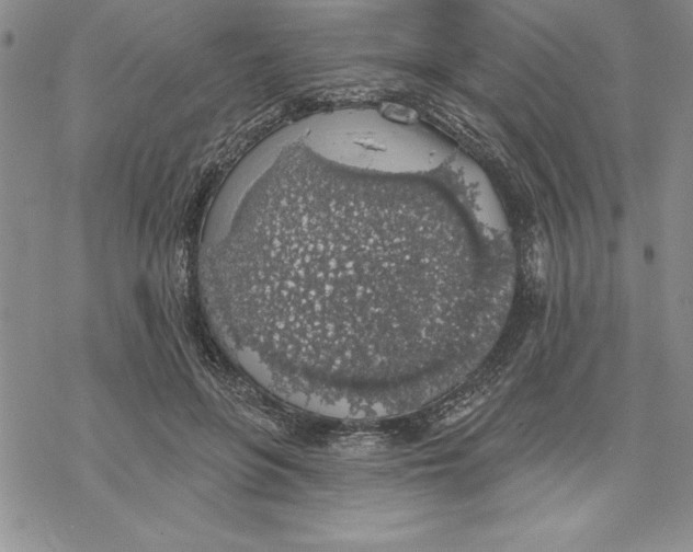 X0000069380551200606021609