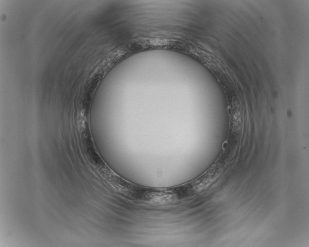 X0000069380555200606021609