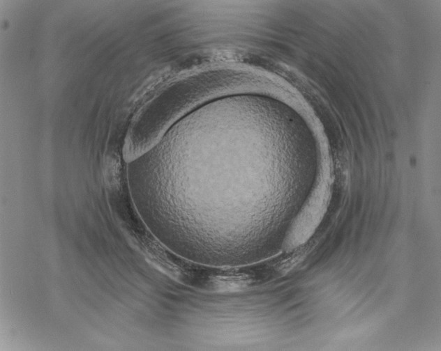 X0000069380556200606021609