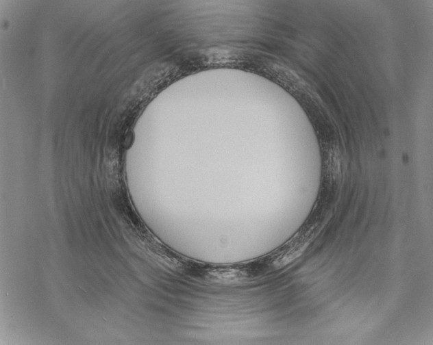 X0000069380557200606021609