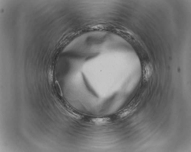 X0000069380558200606021609