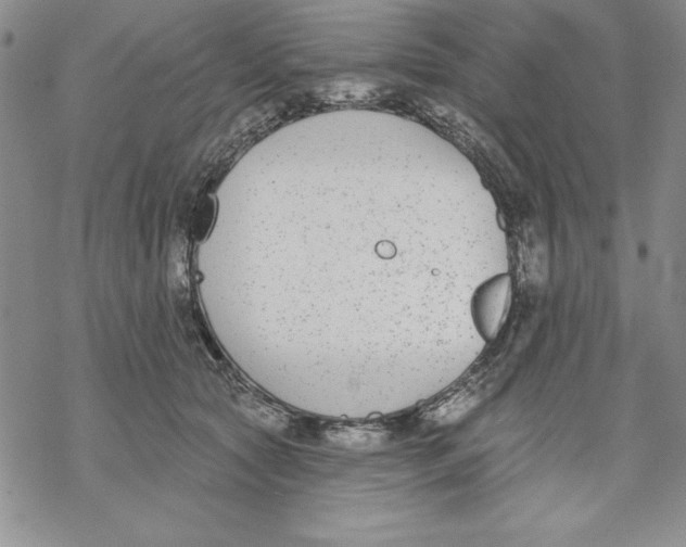 X0000069380561200606021609