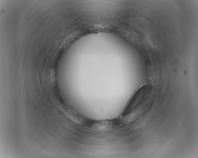 X0000069380563200606021610