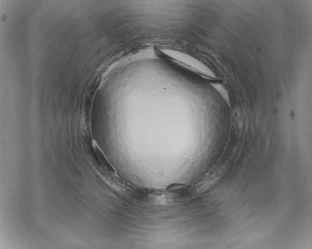 X0000069380564200606021610