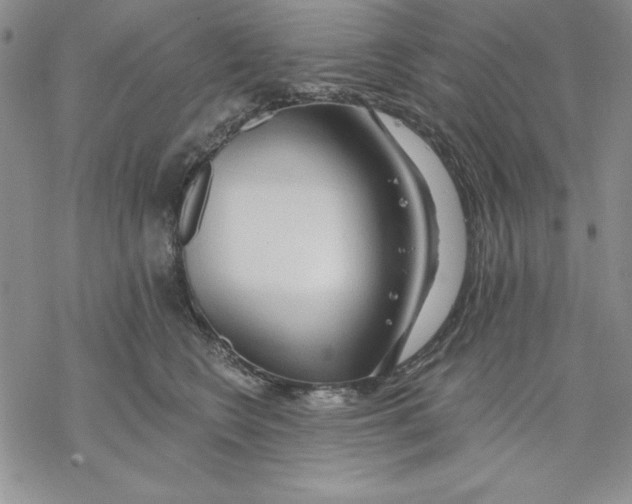 X0000069380566200606021610