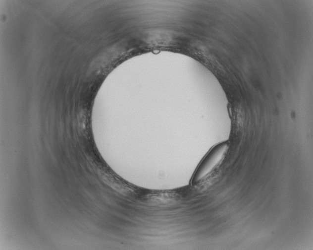 X0000069380567200606021610