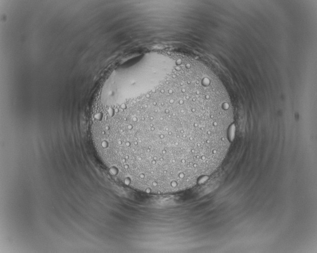 X0000069380569200606021610