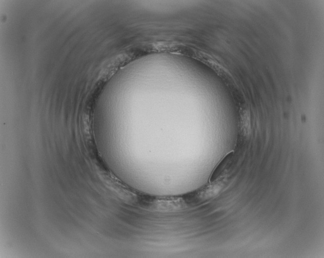 X0000069380571200606021610