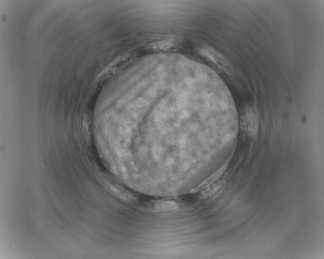 X0000069380572200606021610