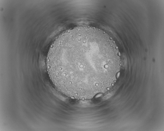 X0000069380573200606021610