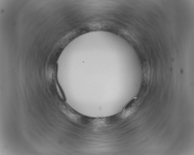 X0000069380574200606021610