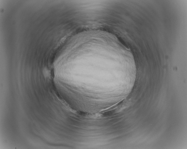 X0000069380576200606021610