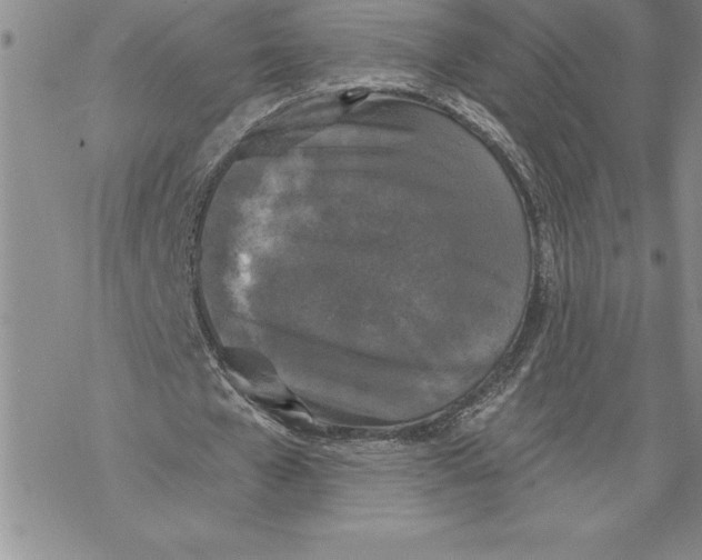 X0000069380577200606021609