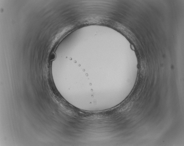 X0000069380578200606021609