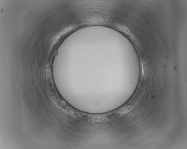 X0000069380579200606021609