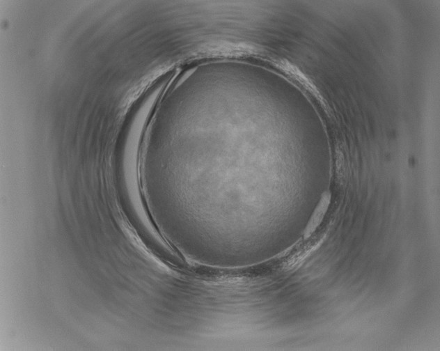 X0000069380581200606021609