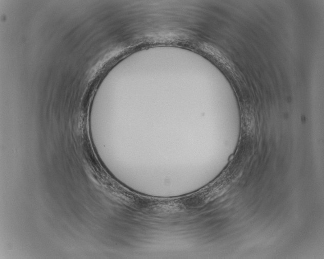 X0000069380583200606021609