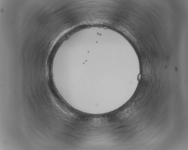 X0000069380584200606021609