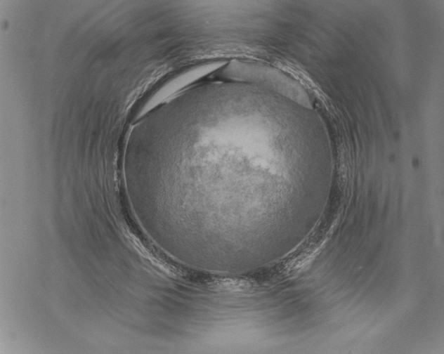 X0000069380585200606021609