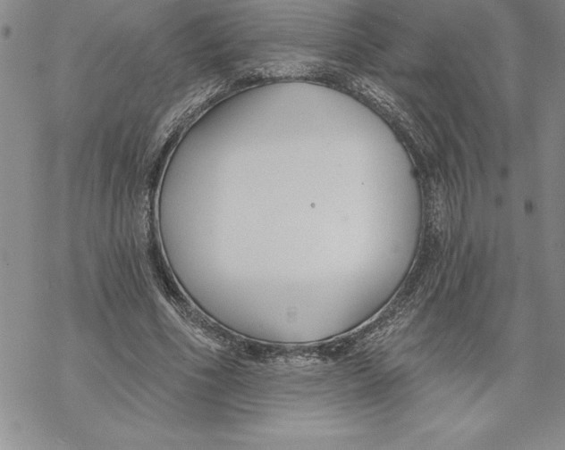 X0000069380586200606021609