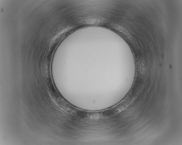 X0000069380587200606021609