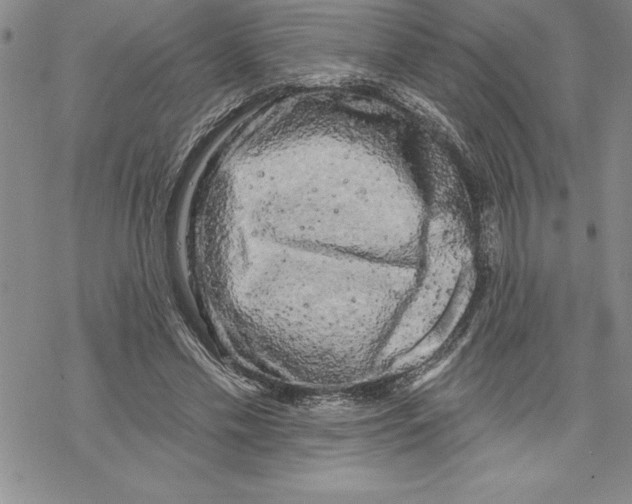 X0000069380589200606021609