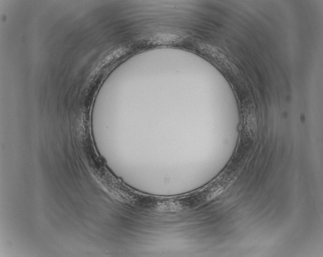 X0000069380591200606021609