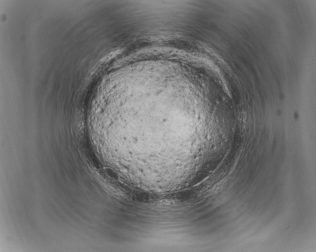 X0000069380593200606021609