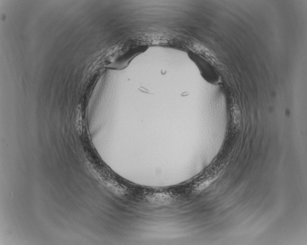 X0000069380594200606021609