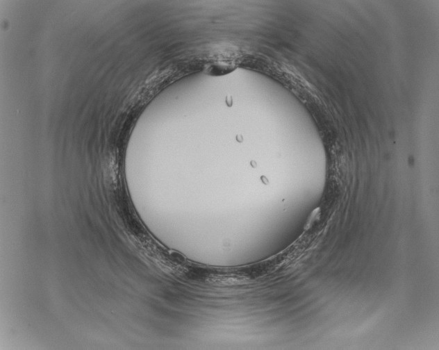 X0000069380597200606021609