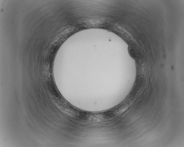 X0000069380599200606021609