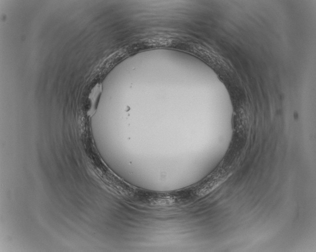 X0000069380600200606021609