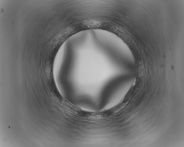 X0000069380604200606021609