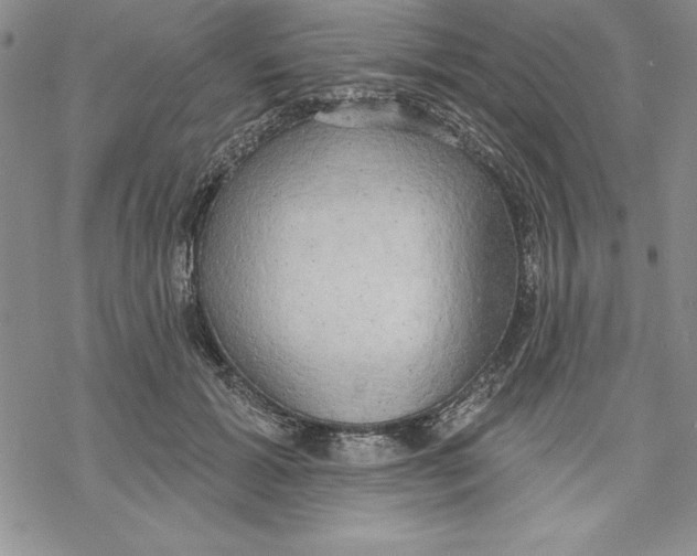 X0000069380605200606021608