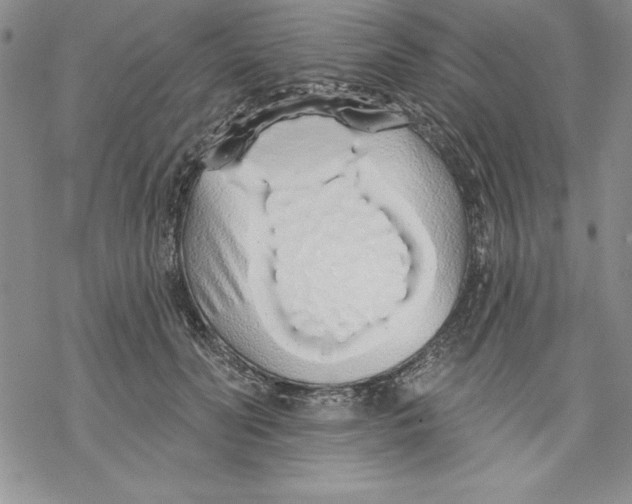 X0000069380606200606021608