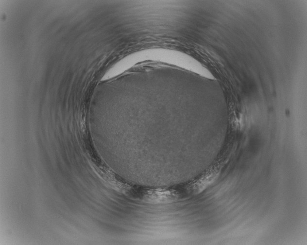 X0000069380607200606021608