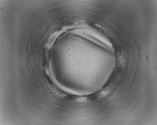 X0000069380609200606021608