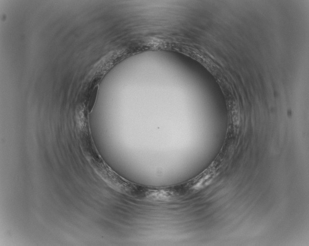 X0000069380611200606021608