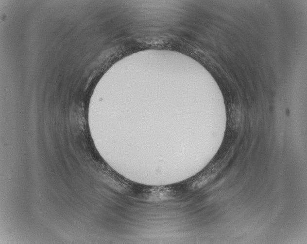 X0000069380612200606021608