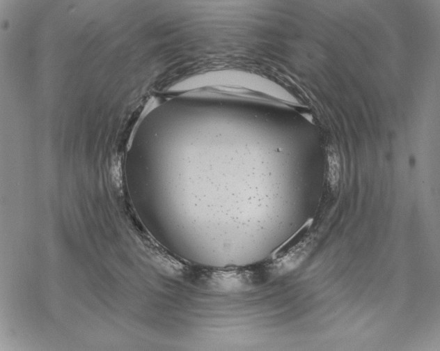 X0000069380613200606021608