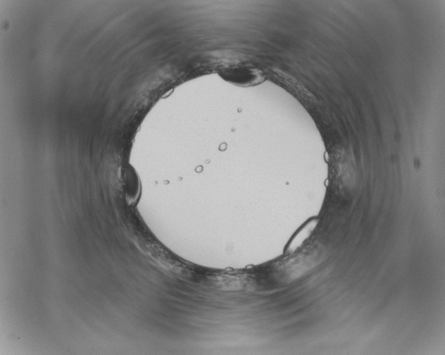 X0000069380615200606021608