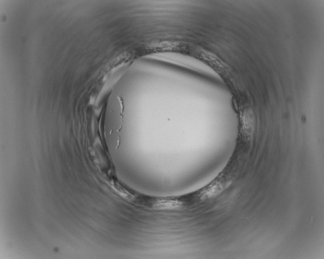 X0000069380617200606021608