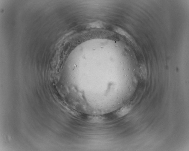 X0000069380621200606021608